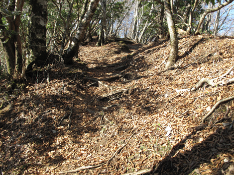 20161206hike (186)